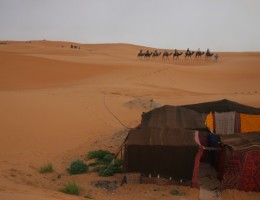 Descubre Marruecos con Essaouira desde Marrakech 2023 -2024